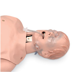 Life/form® Advanced "Airway Larry" Torso with Defibrillation Features [SKU: LF03960]