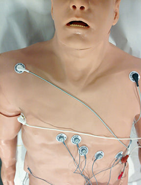 Zoll 12-Lead Arrhythmia Simulator with Manikin Overlay, Large [SKU: 101-12-000L]