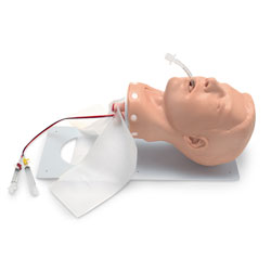 Load image into Gallery viewer, Adult Deluxe Airway Management Trainer [SKU: 101-502]
