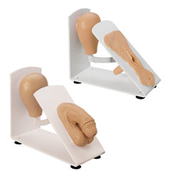 Male & Female Catheterization Trainer Set [SKU: 160-1933]