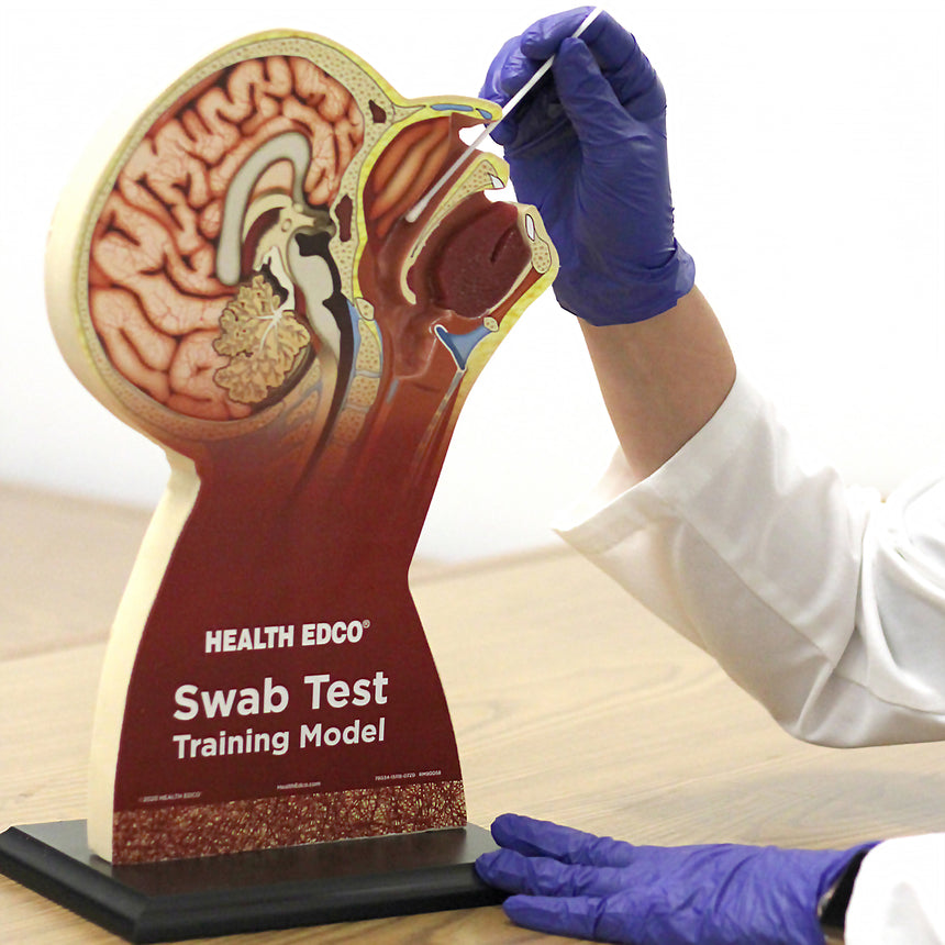 Swab Test Training Model [SKU: HC53412]