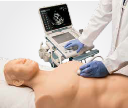 Focused Assessment with Sonography for Trauma (FAST) [SKU: BPFAST1800]