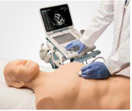 Focused Assessment with Sonography for Trauma (FAST