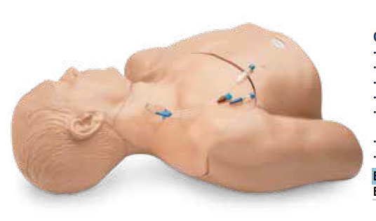 Gen II Ultrasound Central Line Training Model