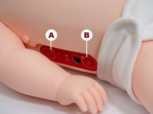summer infant brayden BABY BRAYDEN PRO – Nasco Healthcare