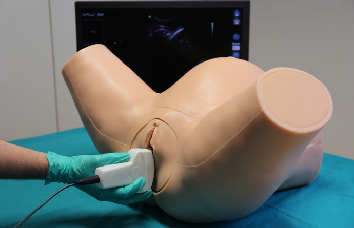 Advanced Ultrasound OBGYN Simulator [SKU: IUSIMAO]