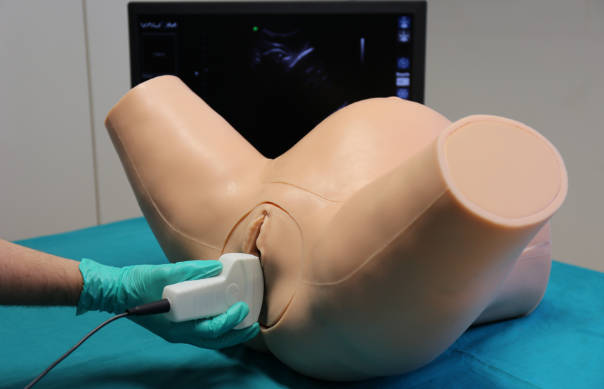 VausSim Pediatric Advanced Ultrasound Simulator [SKU: VAUPEDI]