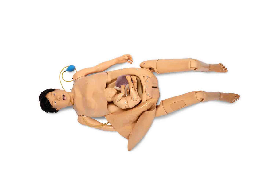 Simulaids,Adult ALS Trainer with Two Arms [SKU: 101-081FB]