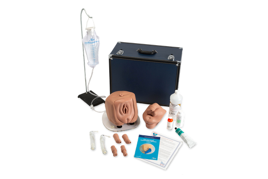 Male/Female Catheterization Simulator - Light Skin Tone [SKU: LF00843]