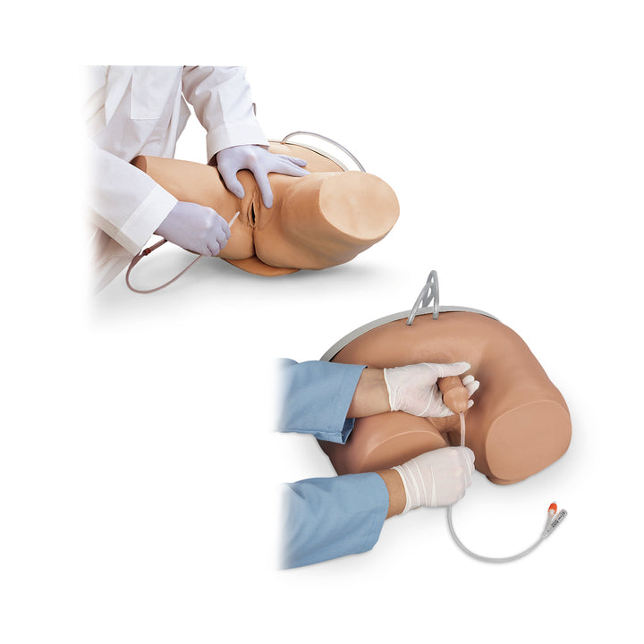 Male & Female Catheterization Simulator Set | Urinary Catheter Training ...