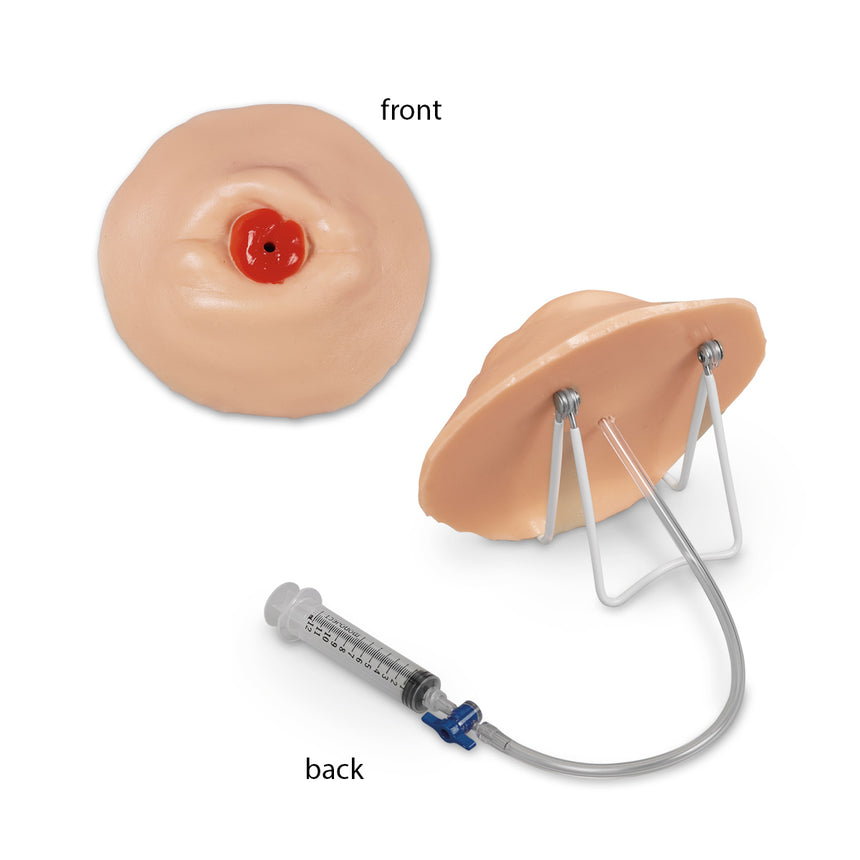 Life/form® Working Infected Ostomy Care Training Model [SKU: LF00898 C]