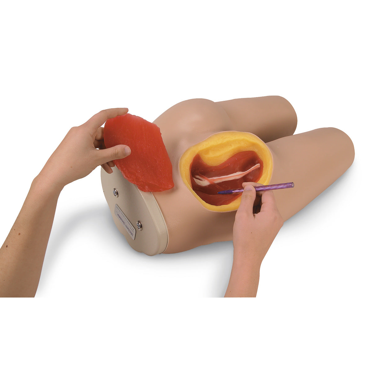 Intramuscular Injection Simulator Sku Lf00961 Nasco Healthcare 4206