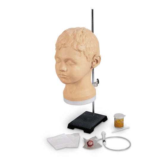 Life/form® Diagnostic and Procedural Ear Trainer [SKU: LF01090]