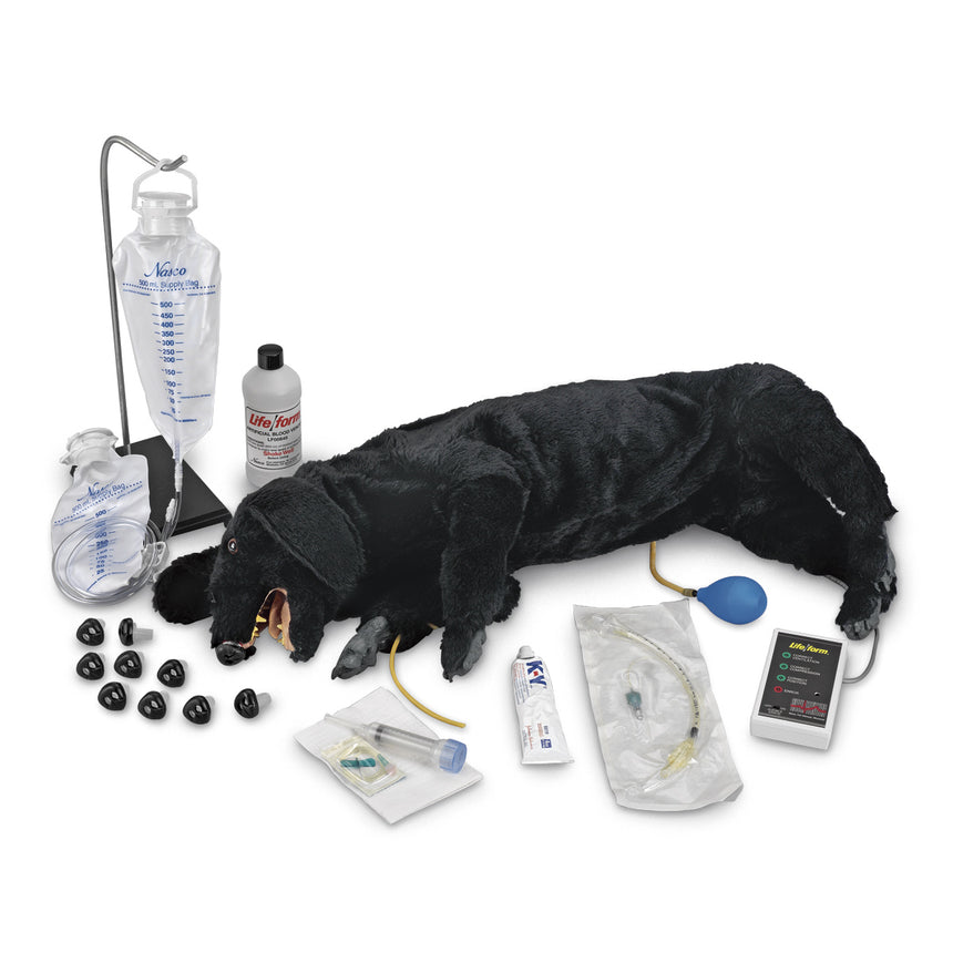 Life/form® Advanced Sanitary CPR Dog [SKU: LF01155]