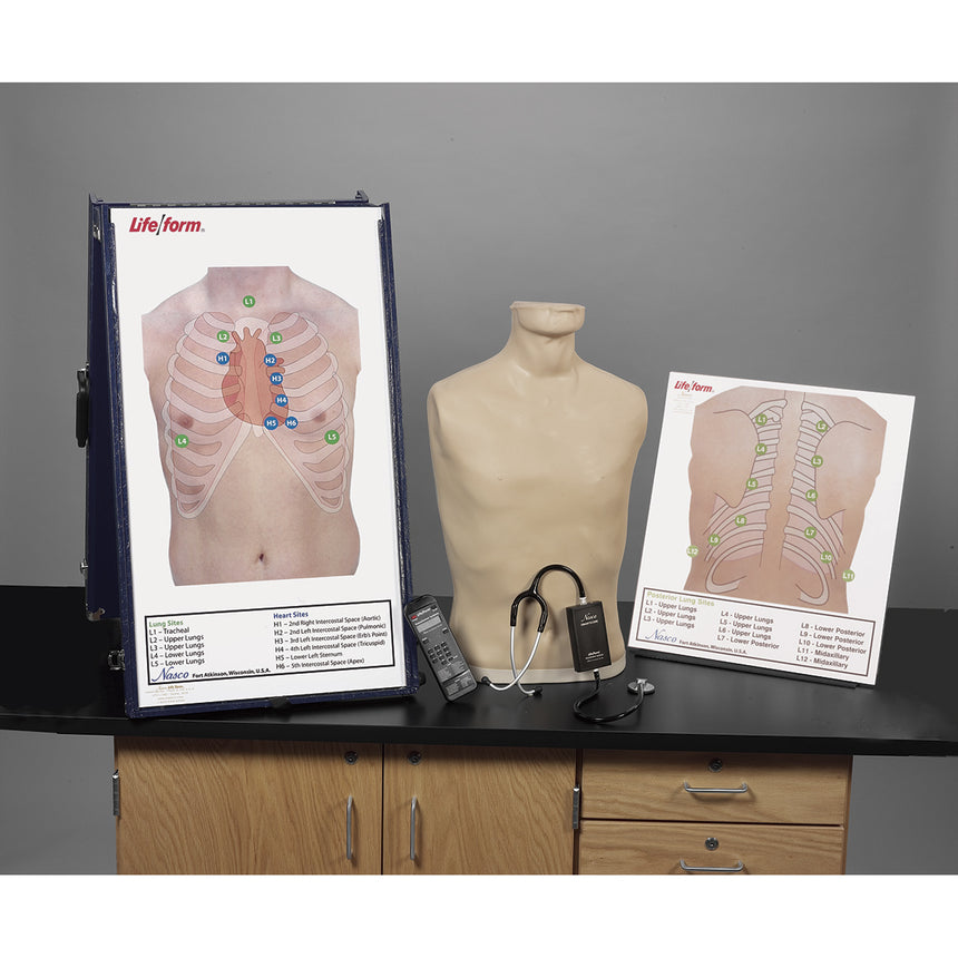 Deluxe Life/form®Auscultation Training Station [SKU: LF01200]