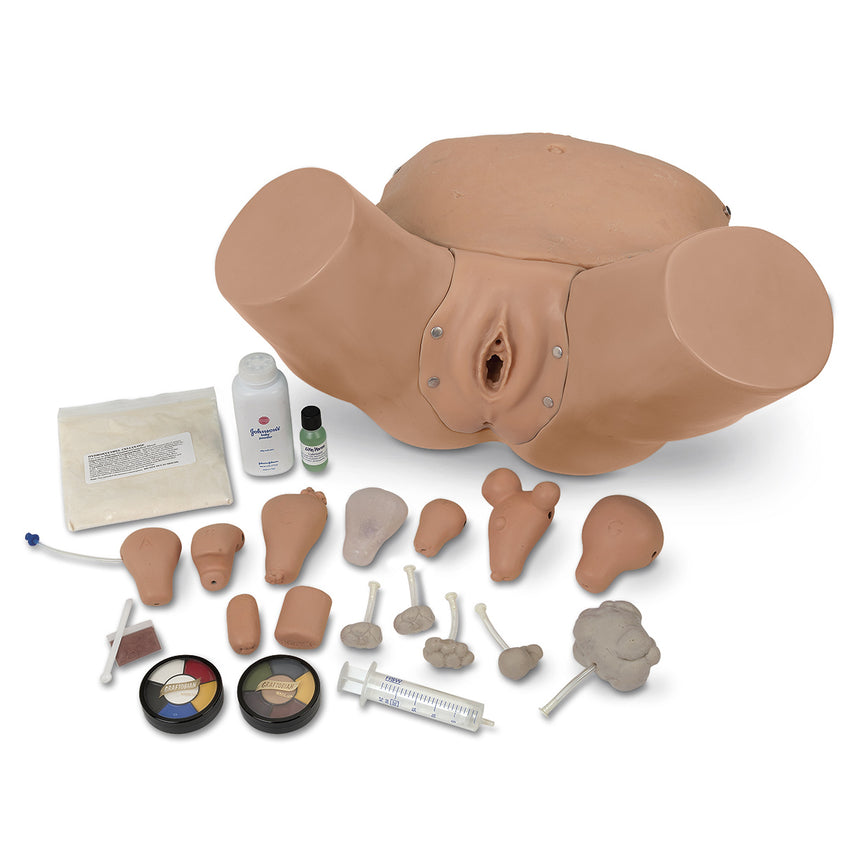 Life/form®  Advanced Pelvic Examination and Gynecological Simulator [SKU: LF01235]