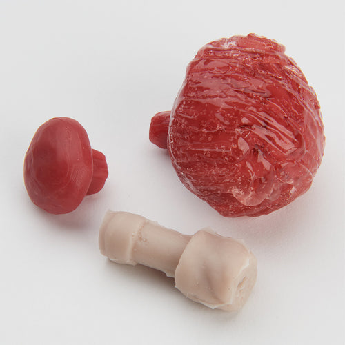 Life/form® Micro-Preemie Simulator - Vervangingsset