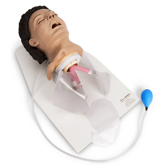 Life/form® Adult Airway Management Trainer with Stand [SKU: LF03601]