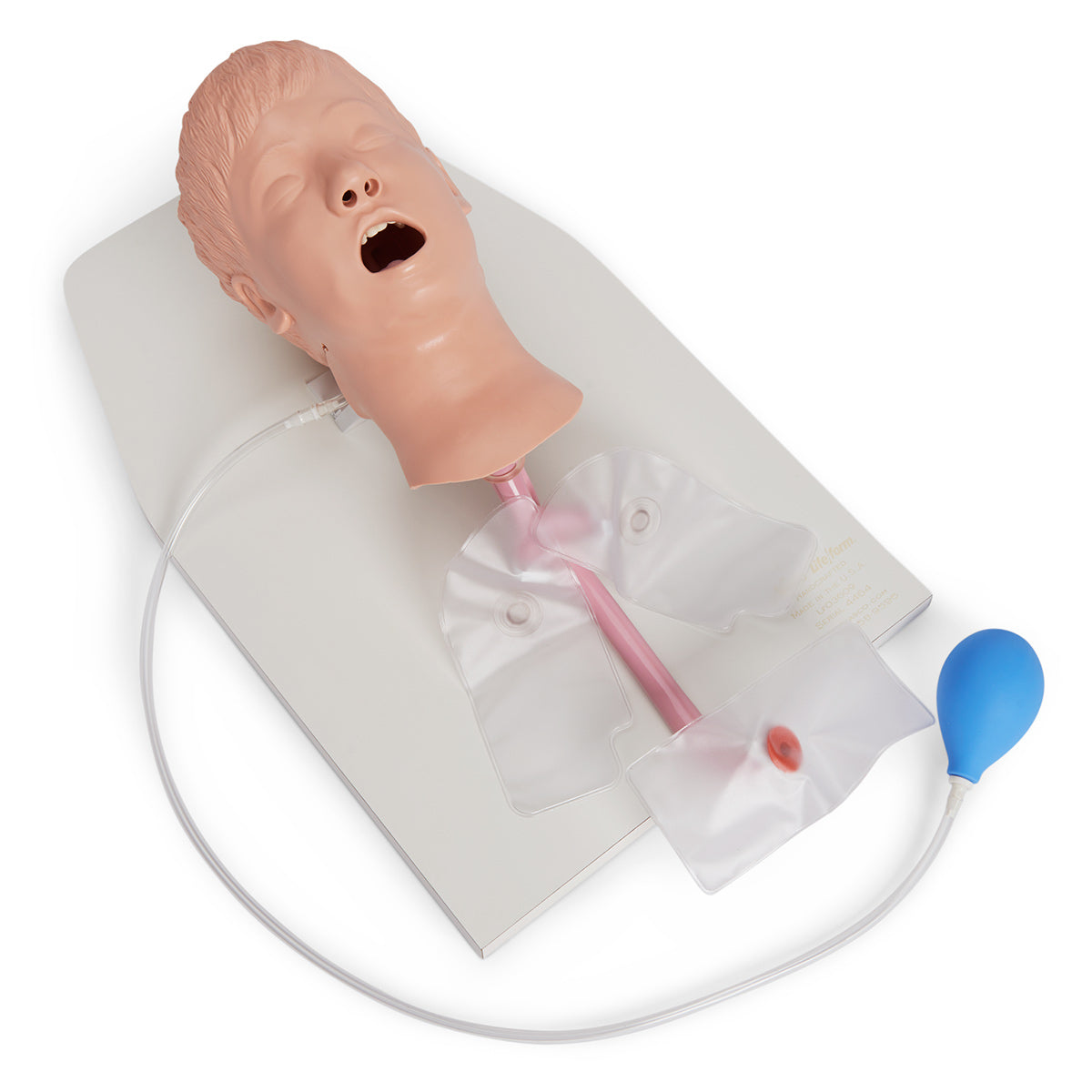 Child Airway Management Trainer with Stand – Nasco Healthcare