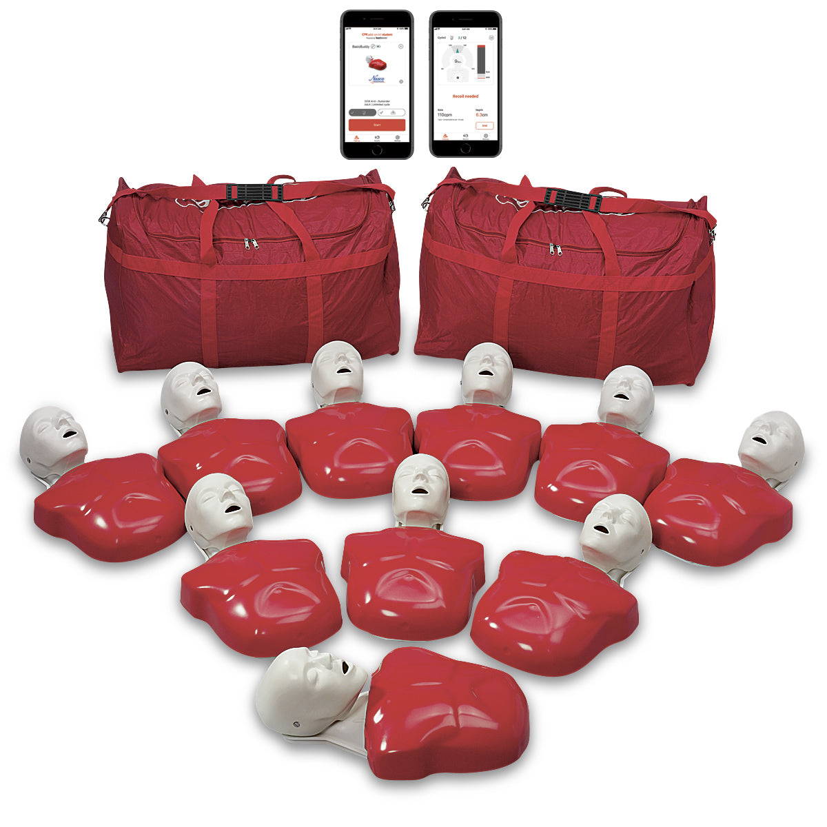 Basic Buddy Plus 10-Pack powered by Heartisense [SKU: LF03695 A ...