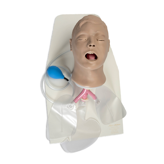 Airway Larry' Adult Airway Management Trainer with Stand [SKU: LF03699]