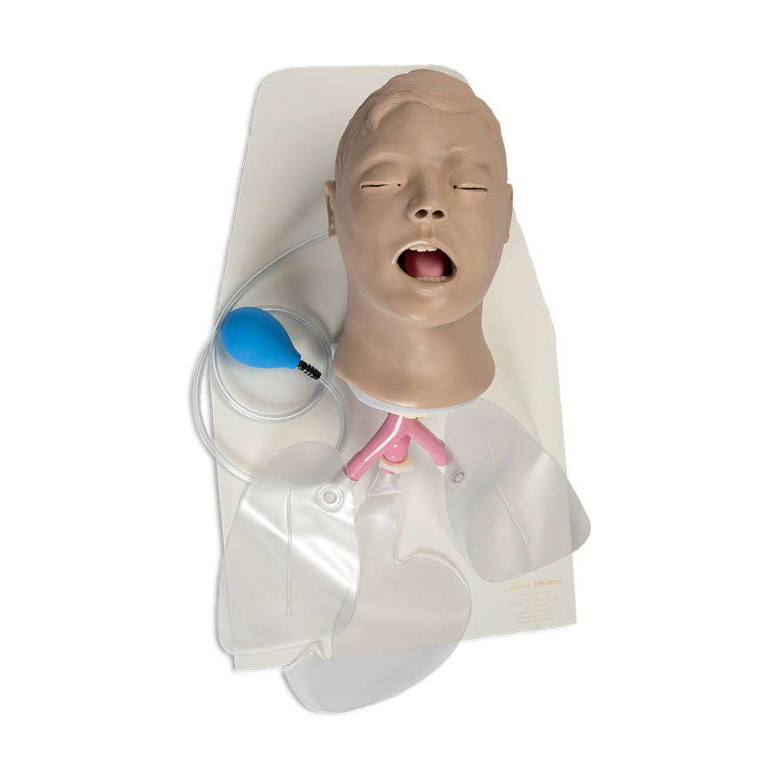 Airway Larry' Adult Airway Management Trainer with Stand [SKU: LF03699]