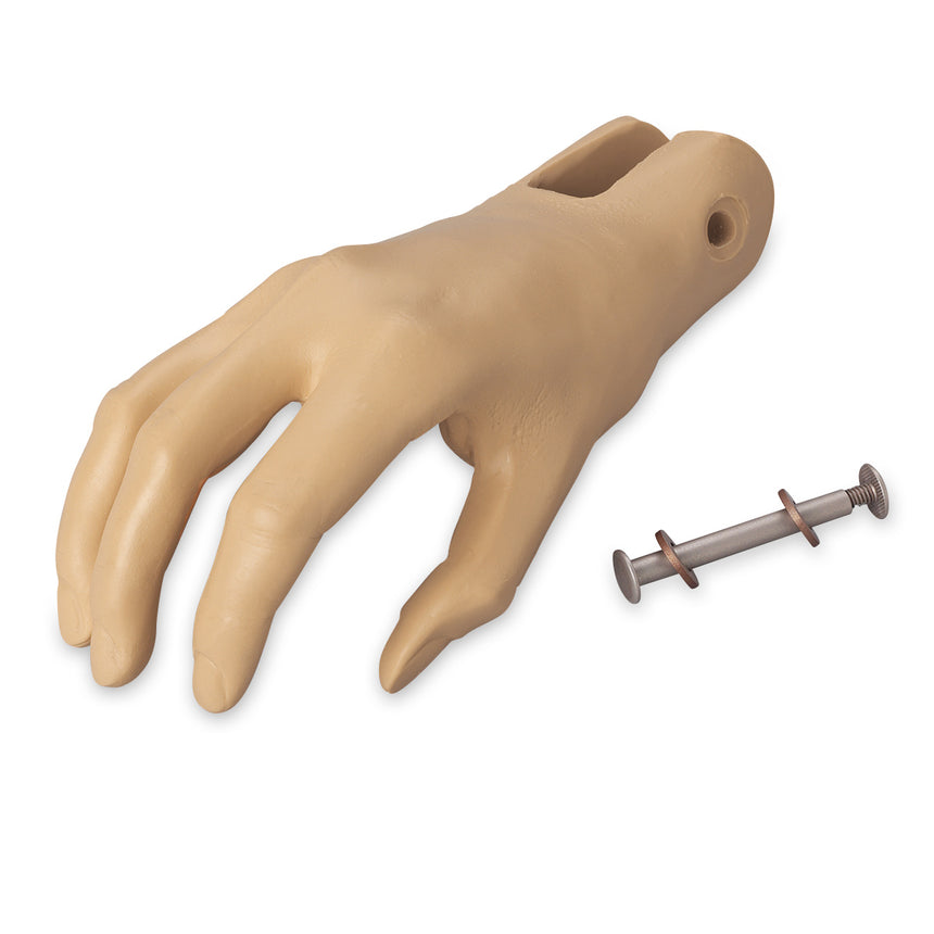 Nursing Skill Manikins Accessories Life/form® GERi/KERi Replacement Hand, Right