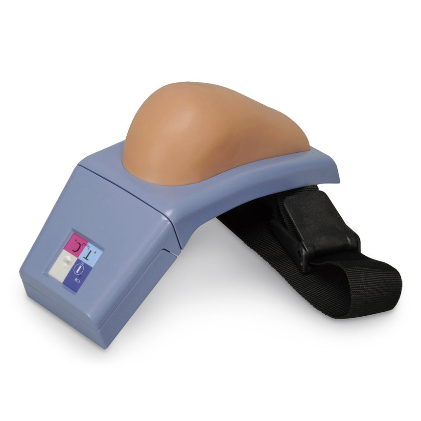Buttock Injection Simulator [SKU: SB50177]