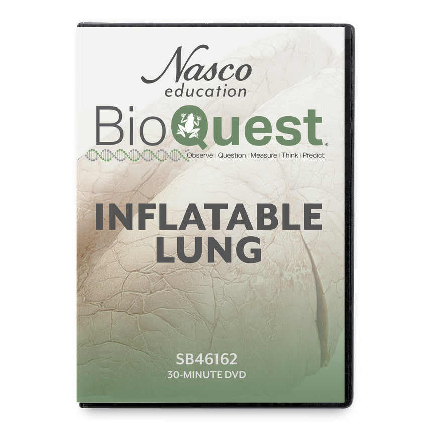 BioQuest® Inflatable Lungs Teacher Instructional DVD