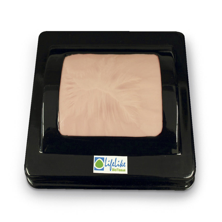 LifeLike BioTissue Double Layer Skin with Skin Base Holder