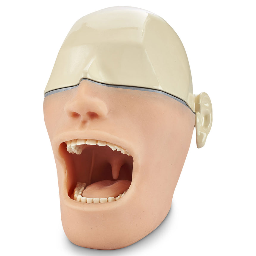 Oral Anesthesia Manikin Without Metal Skull and Light or Sound Sensors