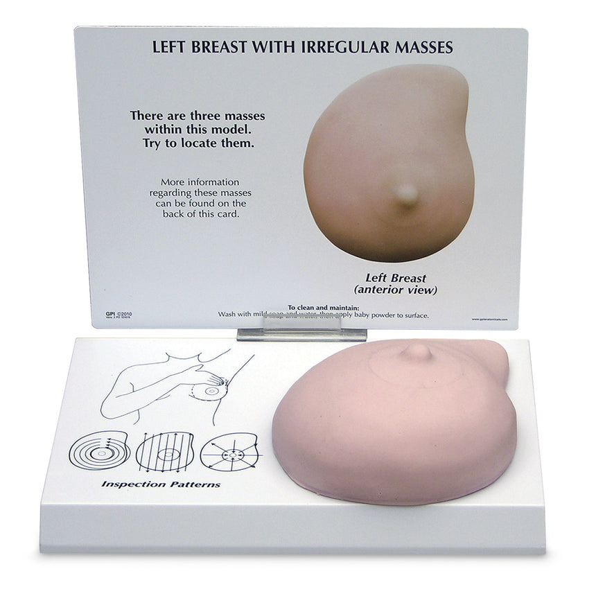 Left Breast Model - 8-3/4 in. x 6-1/4 in. x 3 in.