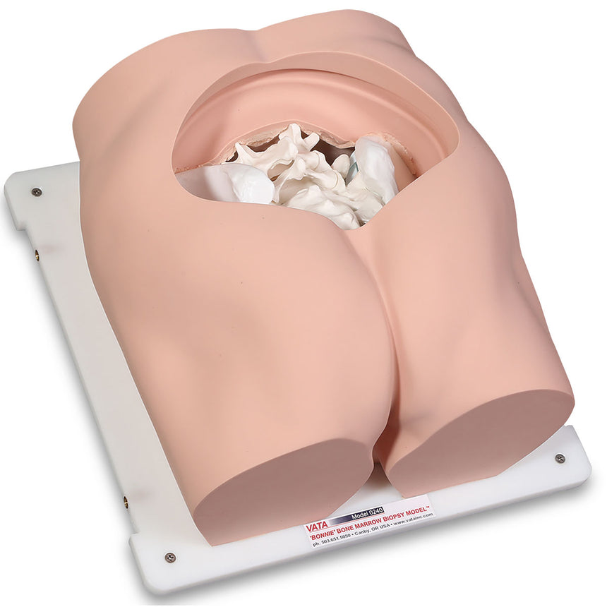 Buttock Injection Simulator [SKU: SB50177]