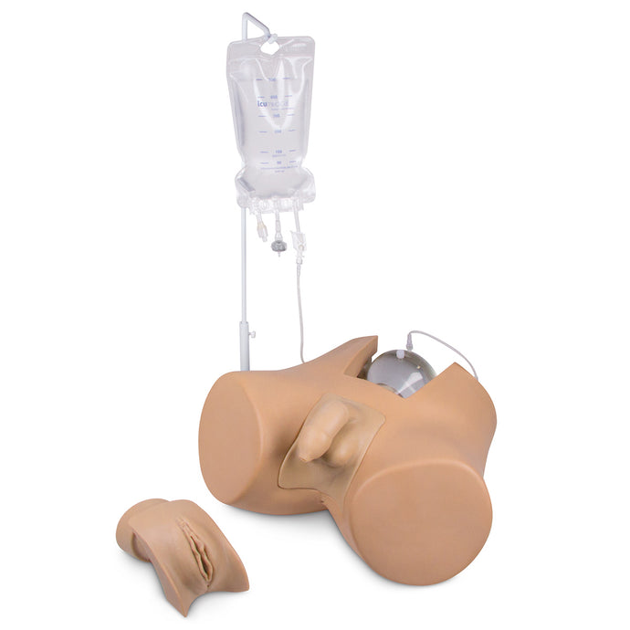 Catheterization Trainer with Male Genital Insert 