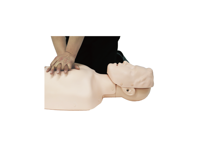 Load image into Gallery viewer, Sherpa Plus: CPR Trainer [SKU: SEEM-P]

