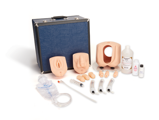 Male/Female Catheterization Simulator - Light Skin Tone [SKU: LF00843]